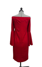 Load image into Gallery viewer, Women’s Debbie Shuchat  Long Sleeve Dress, 6

