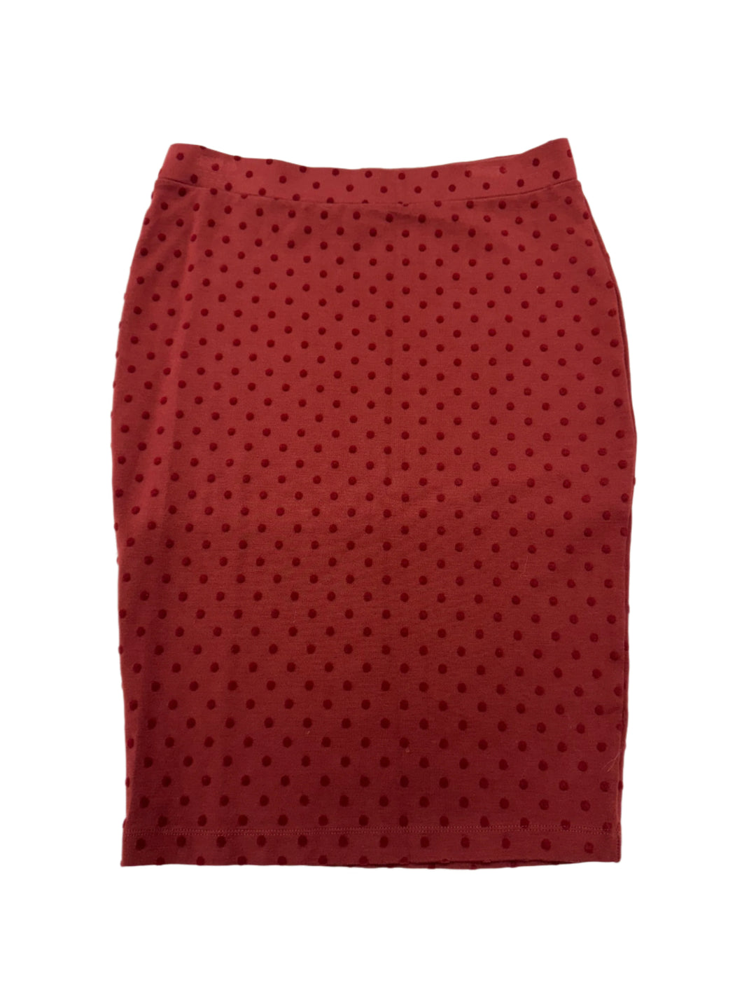 Women’s Attitude Skirt, Size 4