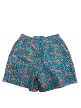 Load image into Gallery viewer, Men’s Chubby Swim Shorts, Small
